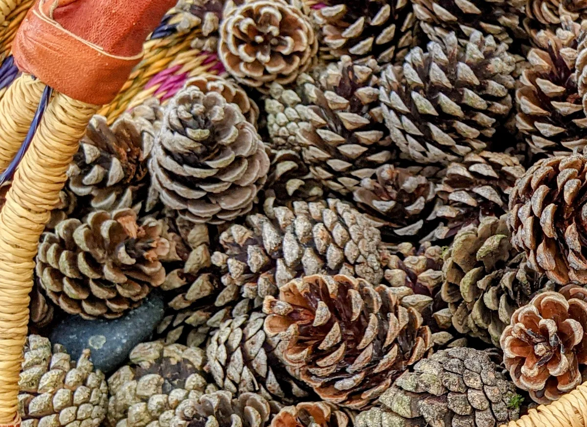 Placeholder for activity image