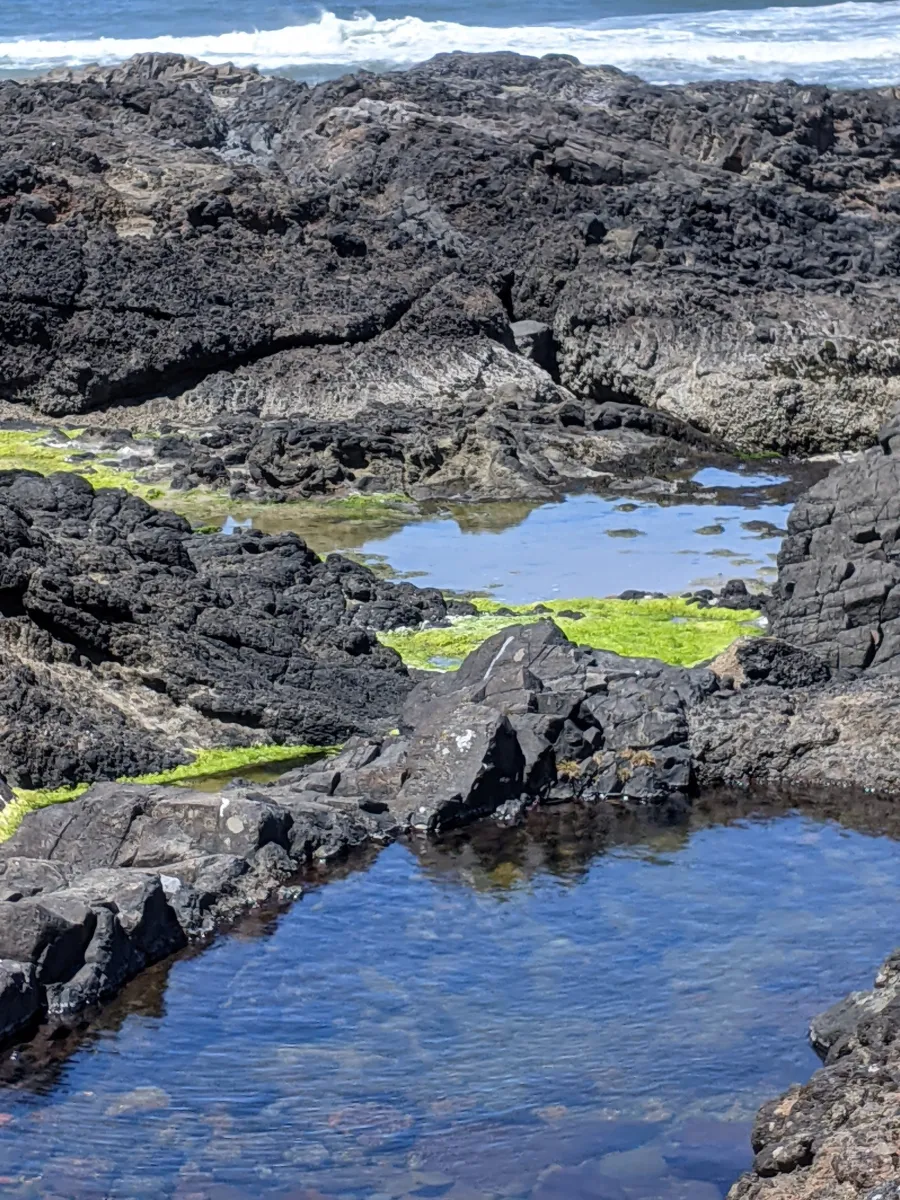 Still tide pools ringed by dark basalt and bright green algae, with surf breaking beyond the rocks