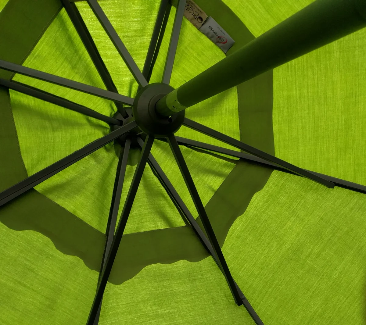 Placeholder for activity image